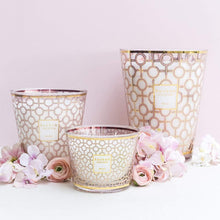 Women Fragrance Collection
