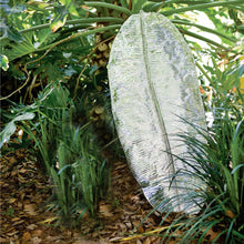 Garden Banana Leaf (XXLG)