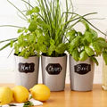 Spice Labels