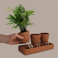 Trio Self Care Planter| Self Watering Plant Pot | Home Decor