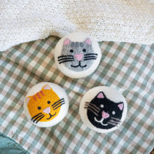Grey Tabby Cats