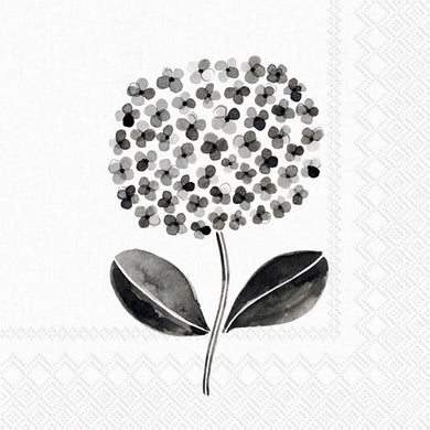 Blk & Wht Flower Cocktail