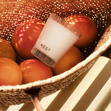 NEST Candle - Grapefruit