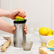 Stainless Cocktail Shaker