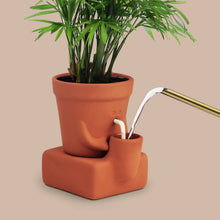 The Thirsty Planter | Self Watering Herb Pot | Plant Gift