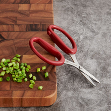 Helen's Universal Scissors