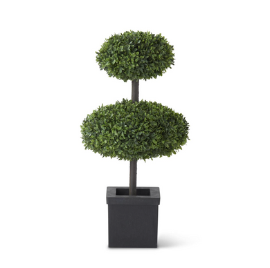 2 Disk Boxwood Topiary Tree