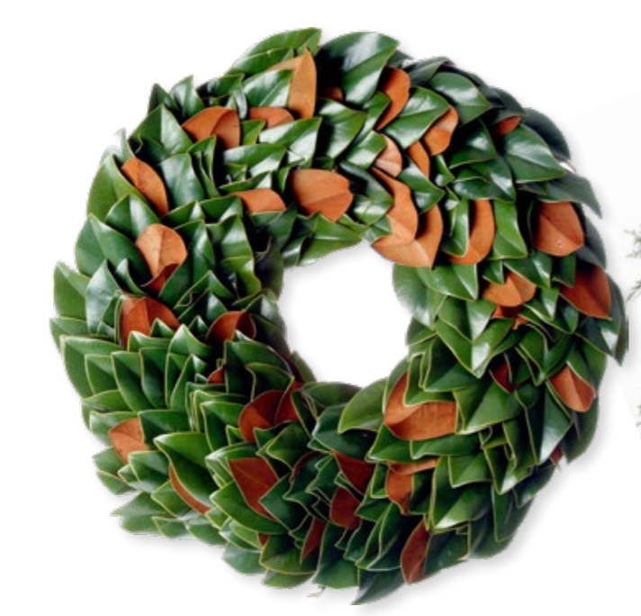 Orignal Magnolia Wreath