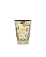 Tommorowland Fragrance Collection