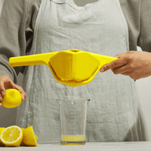 Fluicer - Lemon