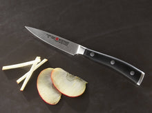 Classic Ikon 3 1/2" Paring Knife